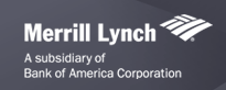 Merrill Lynch India